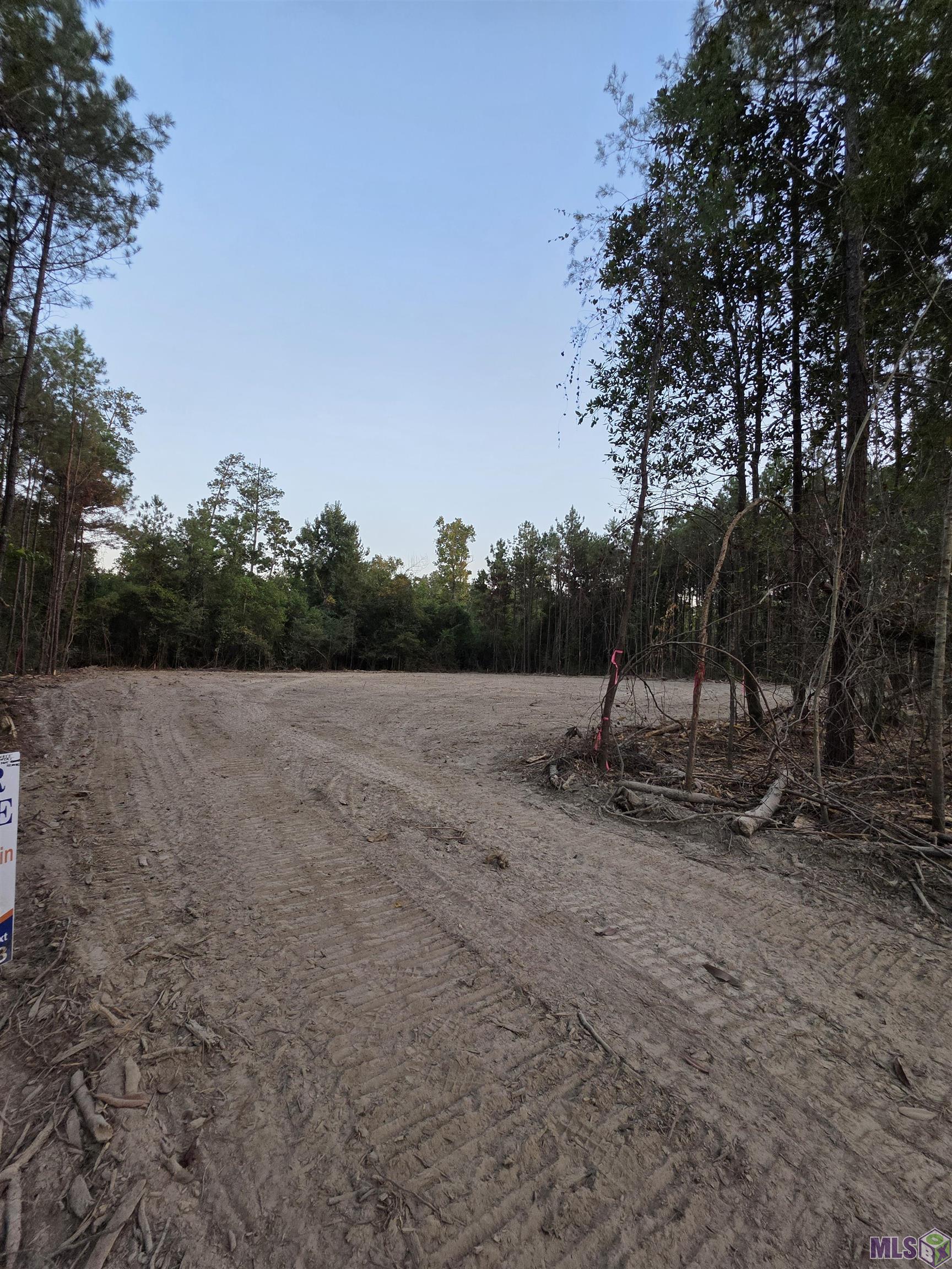 17267 Jack Allen Road Livingston, LA 70754 - Photo 1 of 10 Lot 5