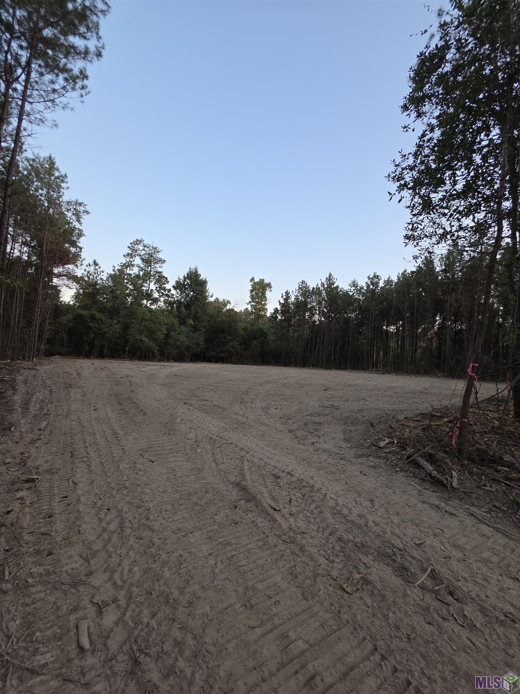 17267 Jack Allen Road Livingston, LA 70754 - Photo 3 of 10 Gallery Image 3