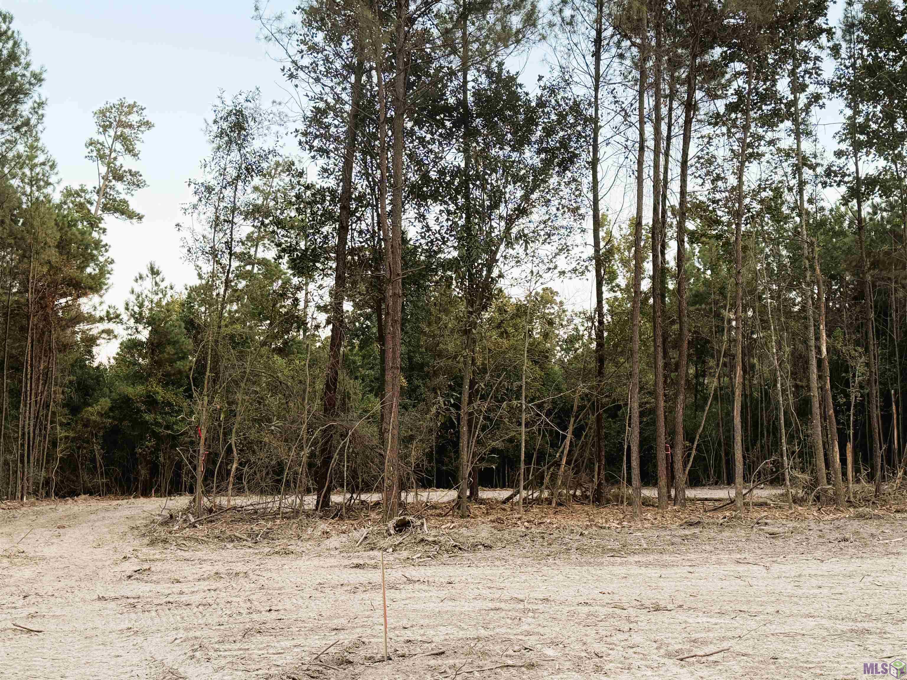 17267 Jack Allen Road Livingston, LA 70754 - Photo 4 of 10 Gallery Image 4
