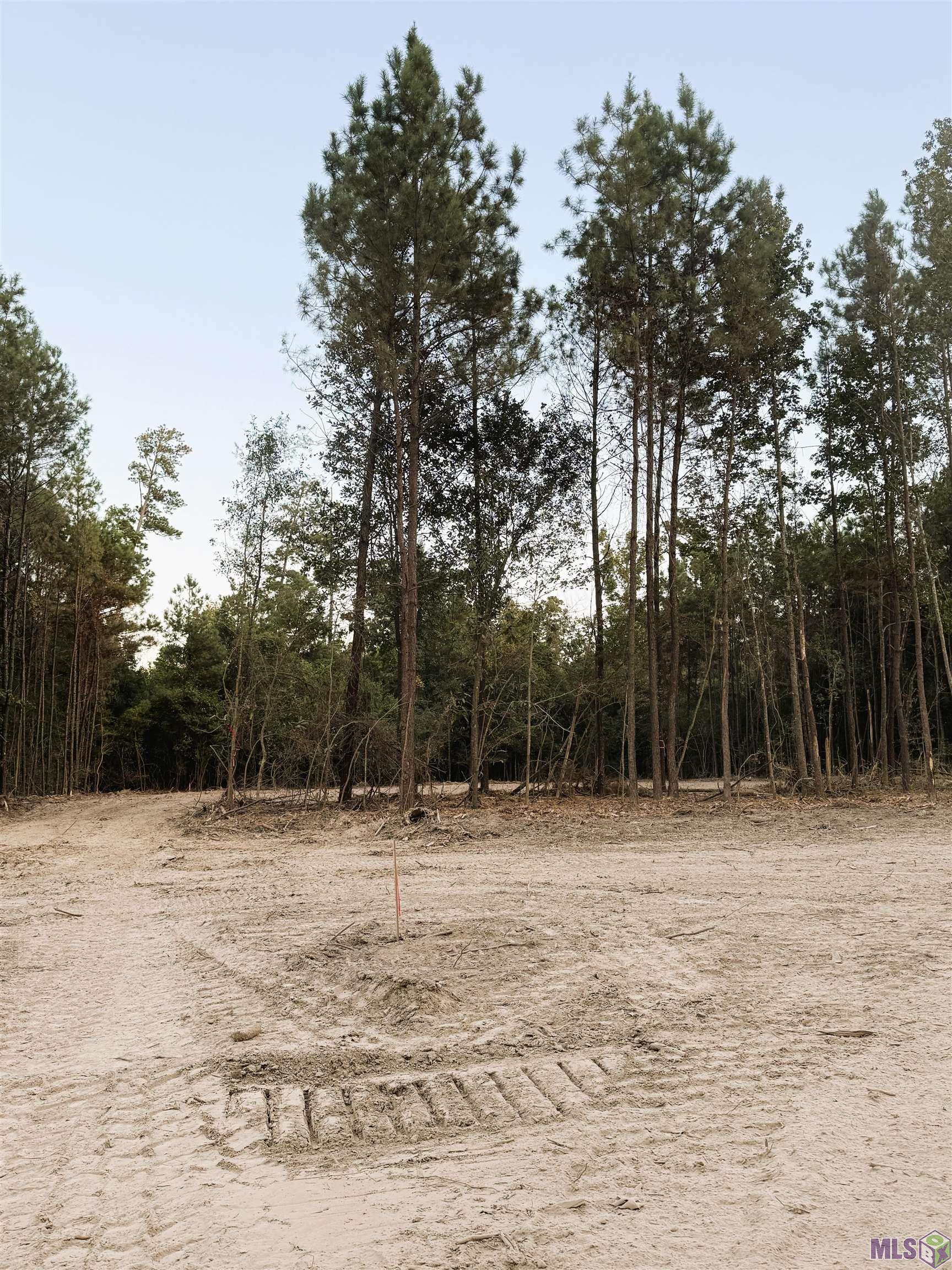 17267 Jack Allen Road Livingston, LA 70754 - Photo 5 of 10 Gallery Image 5