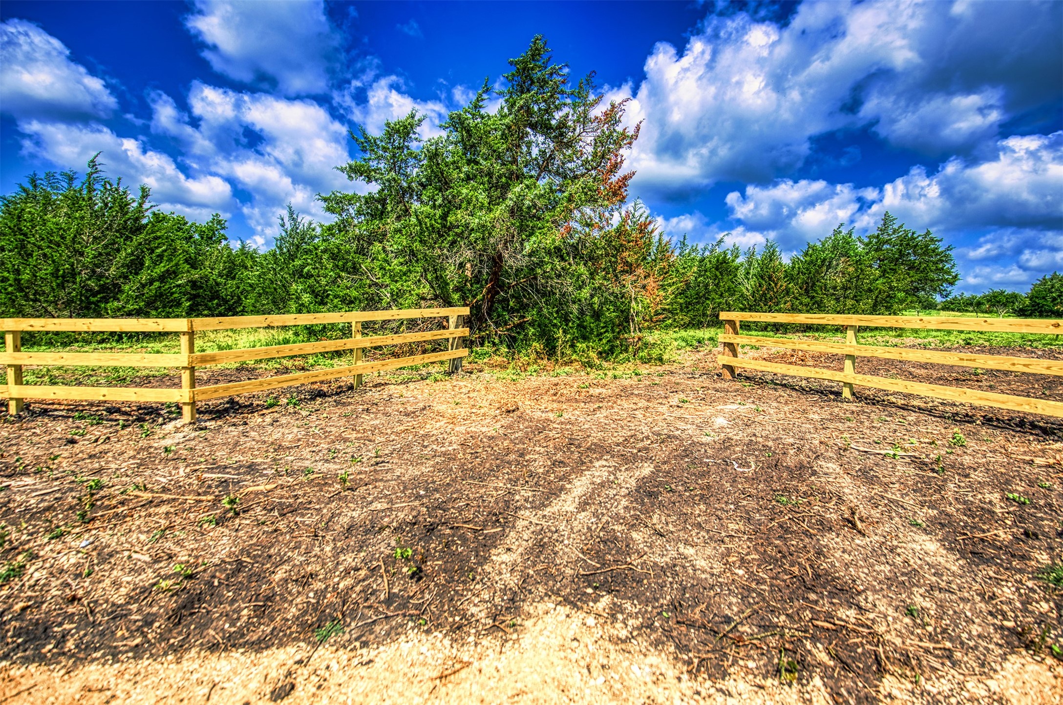 Lot 6 Wonder Hill Road Chappell Hill, TX 77426 - Photo 4 of 16 a view of a yard with wooden fence
