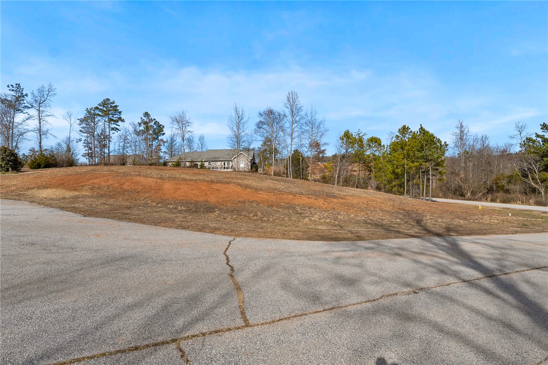 402 Pepper Court Seneca, SC 29678 - Photo 4 of 18