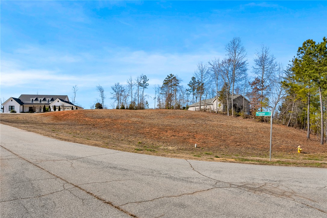 402 Pepper Court Seneca, SC 29678 - Photo 6 of 18