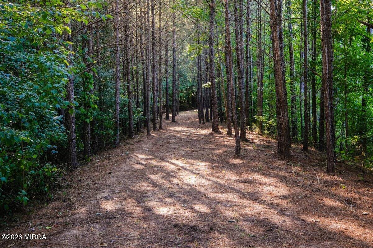 727 Latrobe Way Macon, GA 31220 - Photo 61 of 63 a view of outdoor space with lots of trees