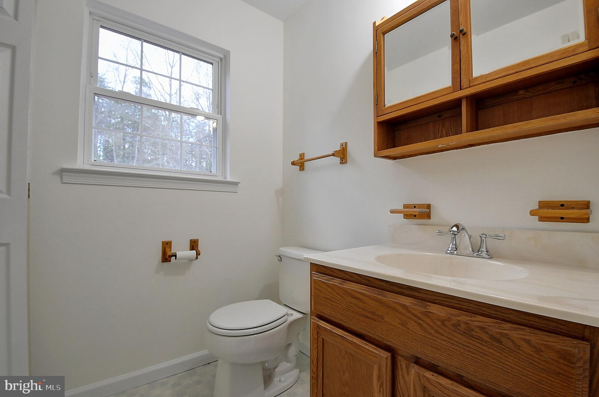 235 Peppermint Spring Lane Winchester, VA 22603 - Photo 48 of 90 a bathroom with a sink a toilet and a window