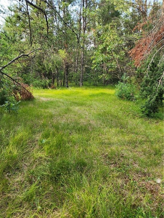 5500 County Highway Sparta, WI 54656 - Photo 31 of 39
