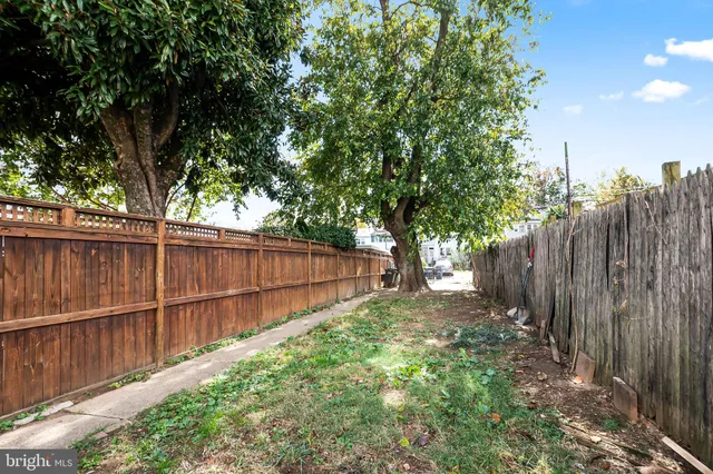 a view of a backyard with wooden fence and large trees