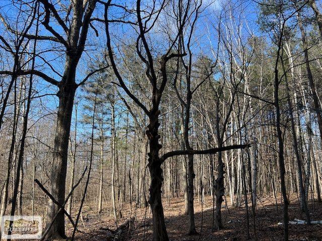 0 Burton Road Capac, MI 48014 - Photo 3 of 10