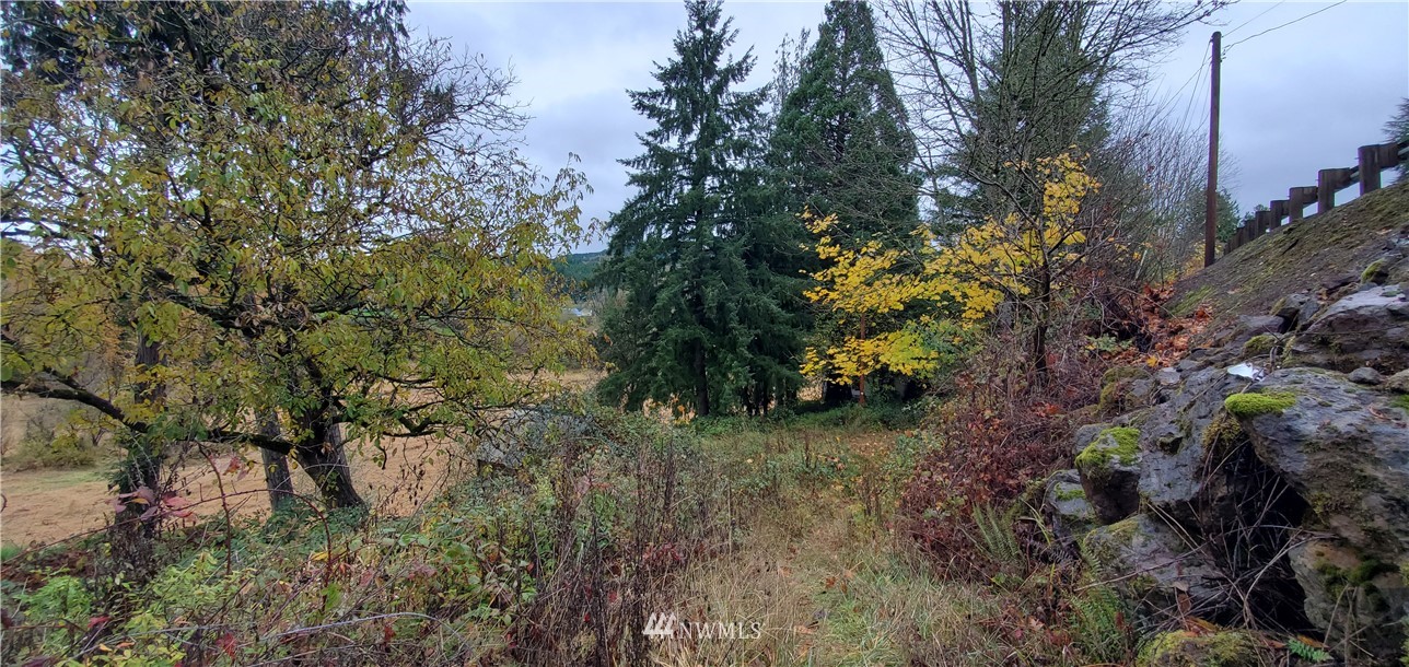 a view of a tree in a yard