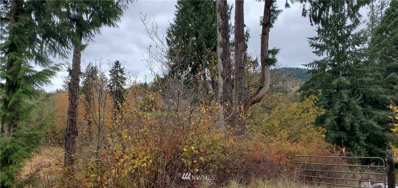 2701 Allen Street Kelso, WA 98626 - Photo 11 of 26 a view of lake