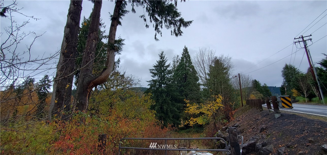 2701 Allen Street Kelso, WA 98626 - Photo 14 of 26 a view of a yard with plants and trees