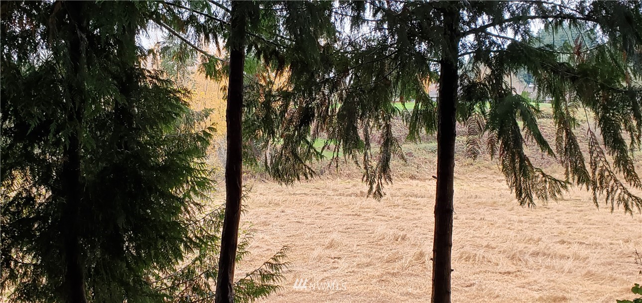 2701 Allen Street Kelso, WA 98626 - Photo 16 of 26 a view of ocean with palm trees