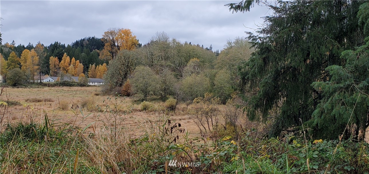 2701 Allen Street Kelso, WA 98626 - Photo 18 of 26 a view of a yard with a tree