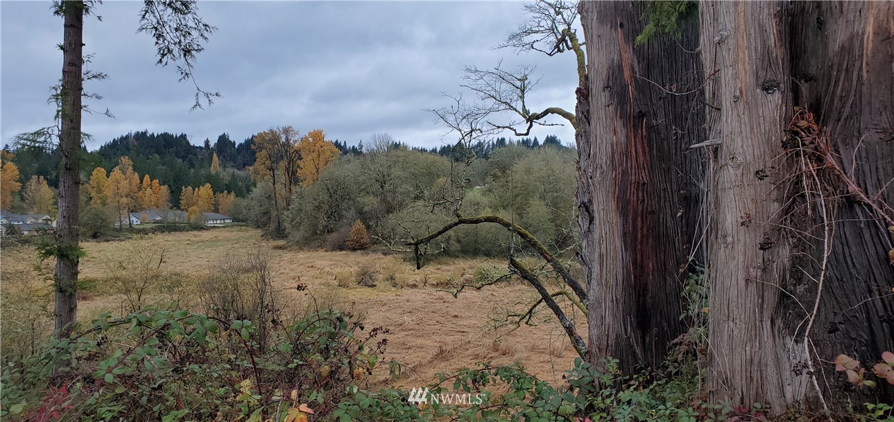 2701 Allen Street Kelso, WA 98626 - Photo 3 of 26 a view of a yard with trees