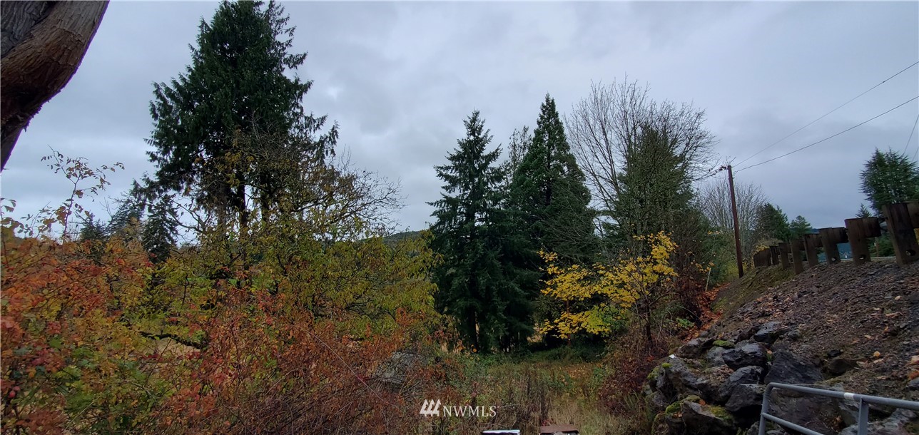 2701 Allen Street Kelso, WA 98626 - Photo 22 of 26 a view of a garden with plants and trees