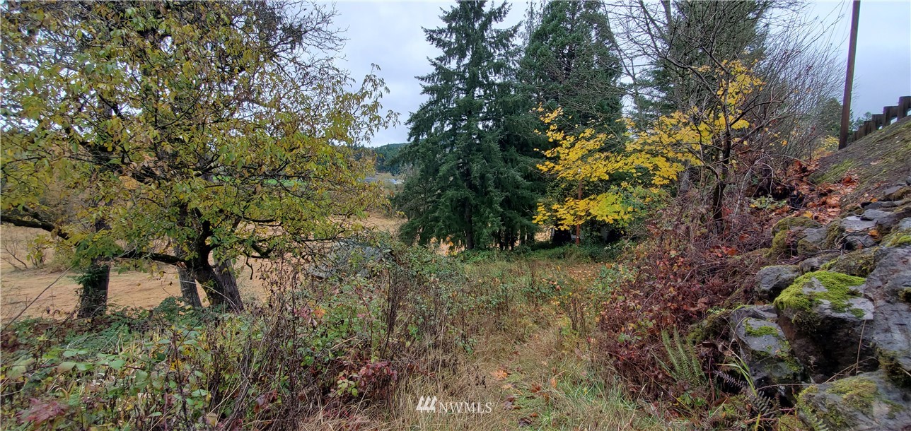 2701 Allen Street Kelso, WA 98626 - Photo 25 of 26 a backyard of a house with lots of plants and trees