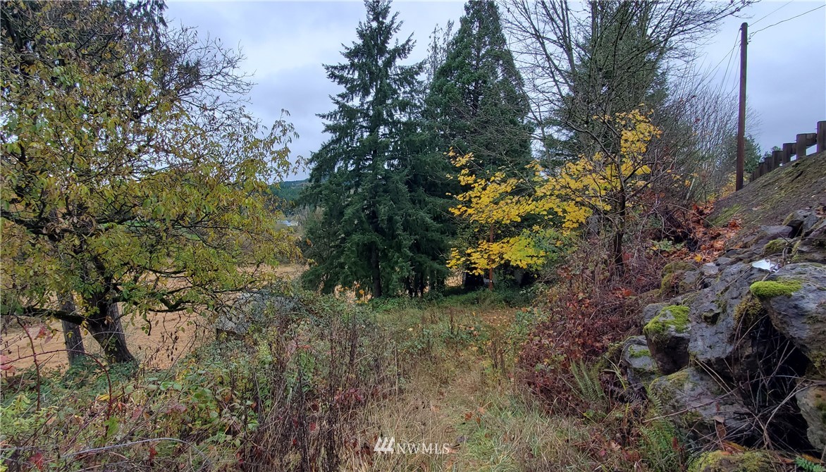 2701 Allen Street Kelso, WA 98626 - Photo 26 of 26 a big yard with lots of plants and trees