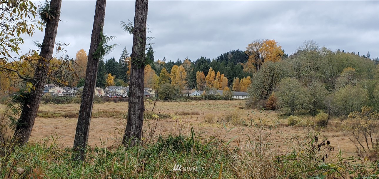 2701 Allen Street Kelso, WA 98626 - Photo 5 of 26 a view of a yard with trees