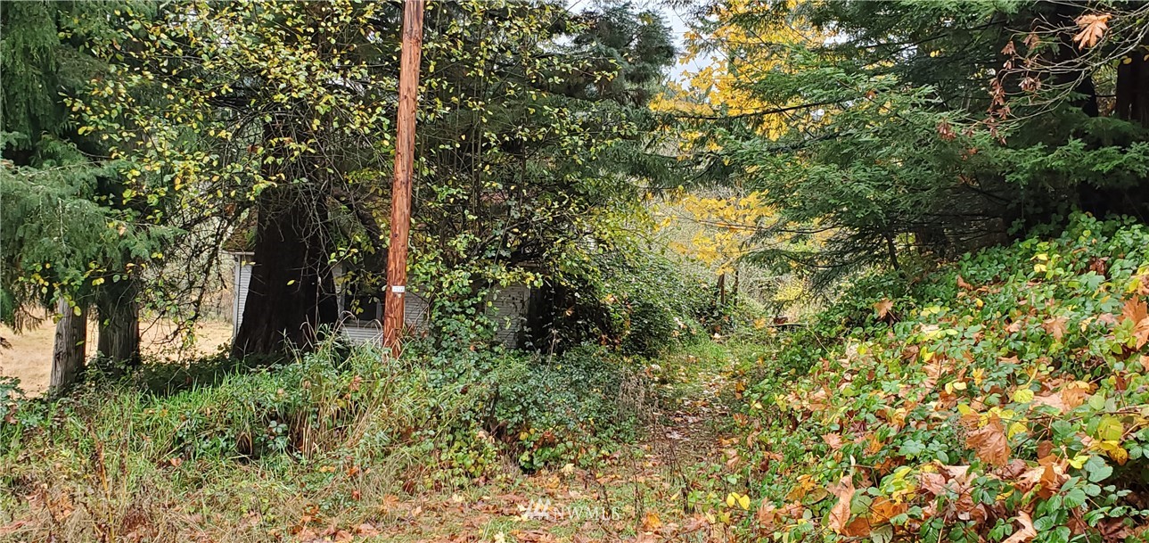 2701 Allen Street Kelso, WA 98626 - Photo 9 of 26 a view of a trees