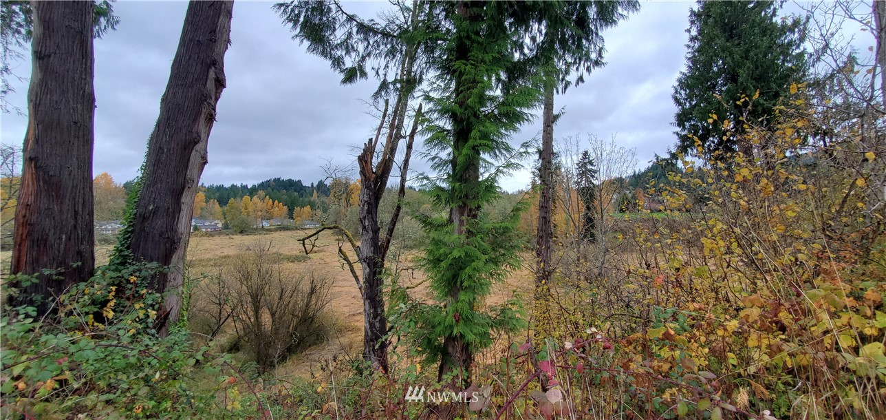 2701 Allen Street Kelso, WA 98626 - Photo 10 of 26 a view of a yard
