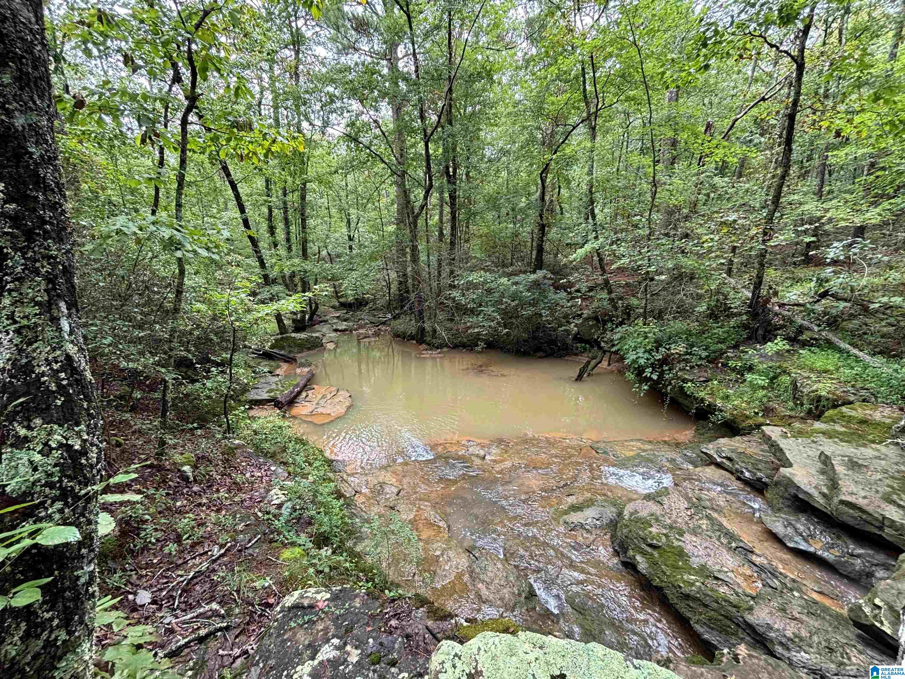 Loop Road, Unit 18 Steele, AL 35987 - Photo 1 of 9