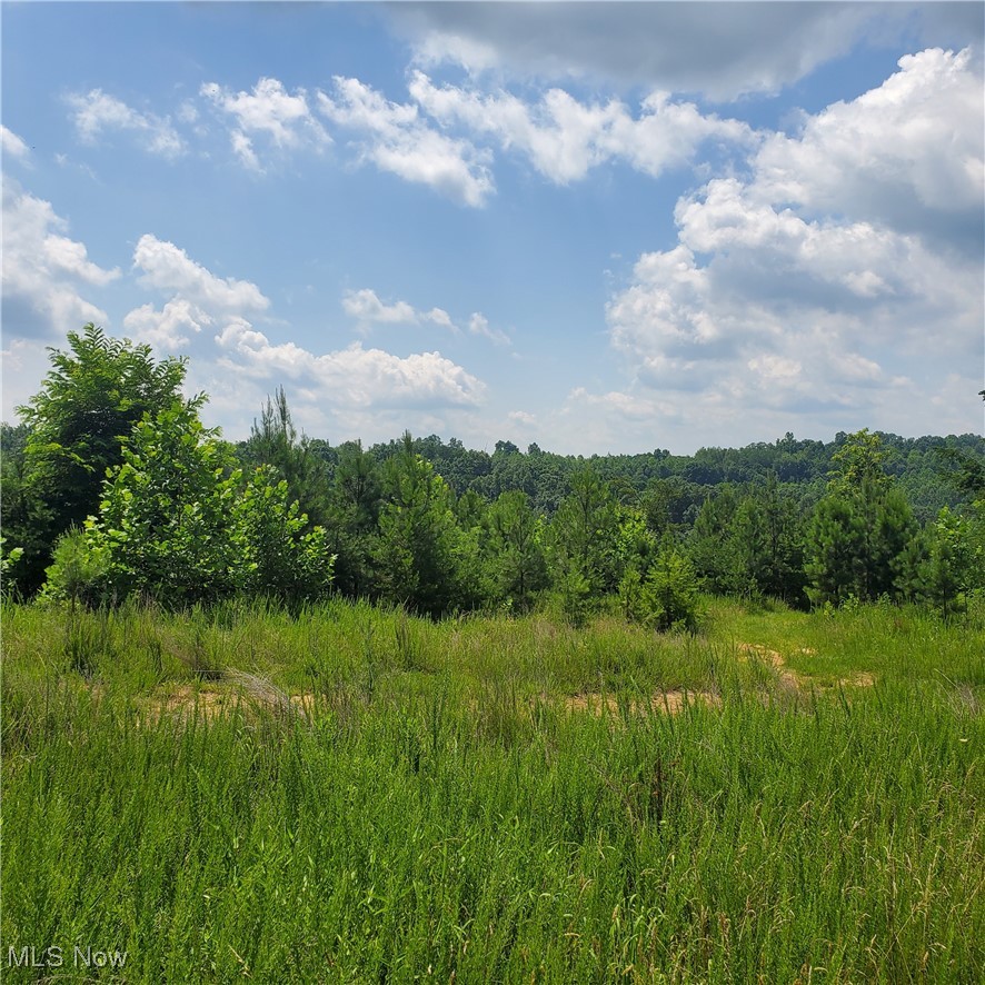 22 County Rt Street St. Marys, WV 26170 - Photo 13 of 27 View of wooded area