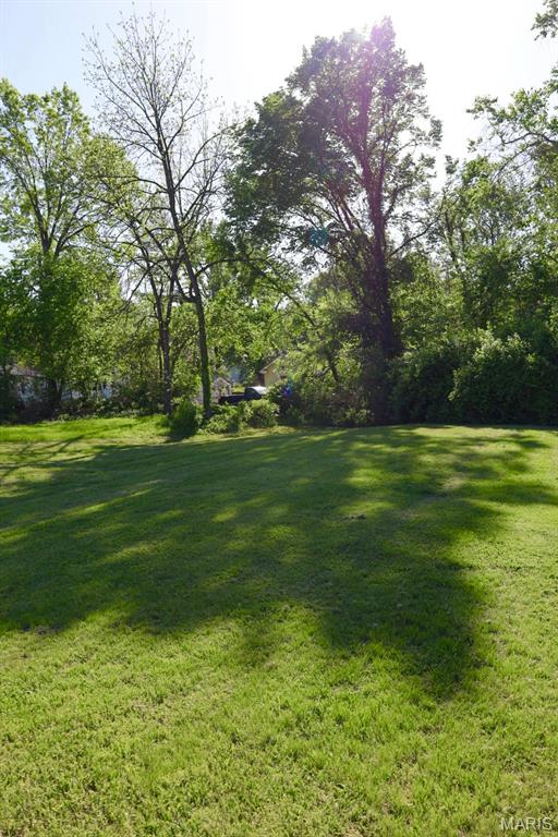 313 South Mill Street Festus, MO 63028 - Photo 7 of 20