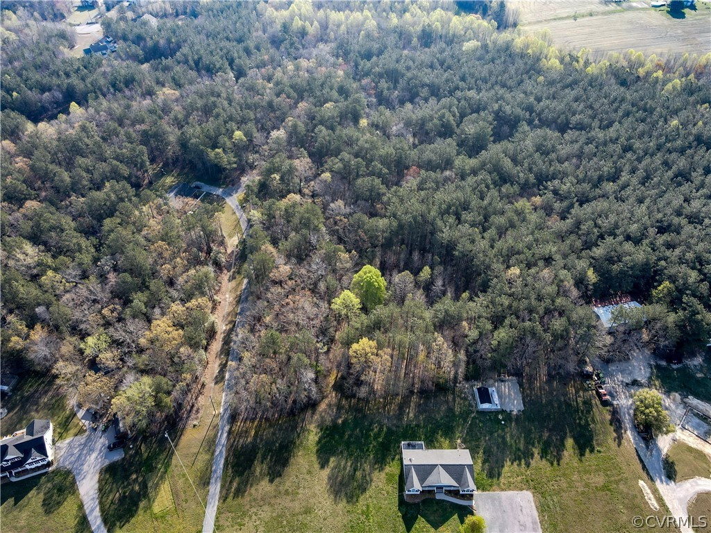 8835 Hines Road Disputanta, VA 23842 - Photo 48 of 50 Gallery Image 48