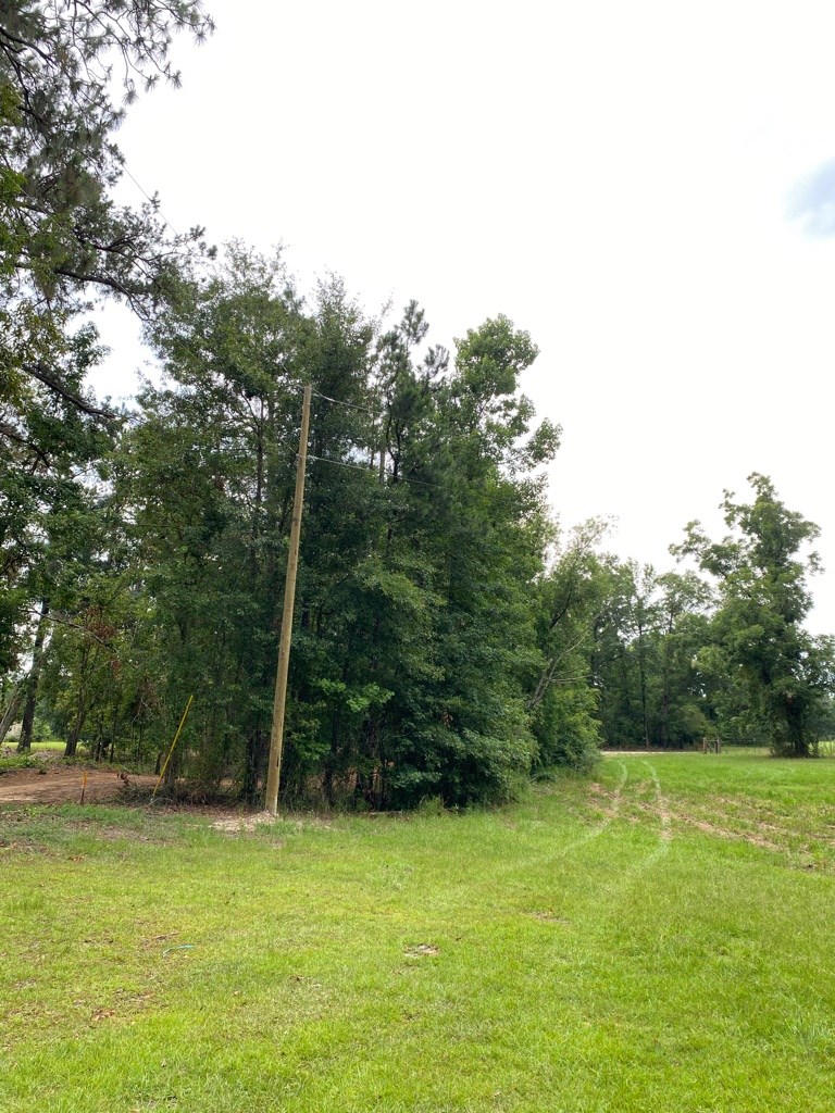 2242 Coot Adams Road Ashford, AL 36312 - Photo 33 of 39