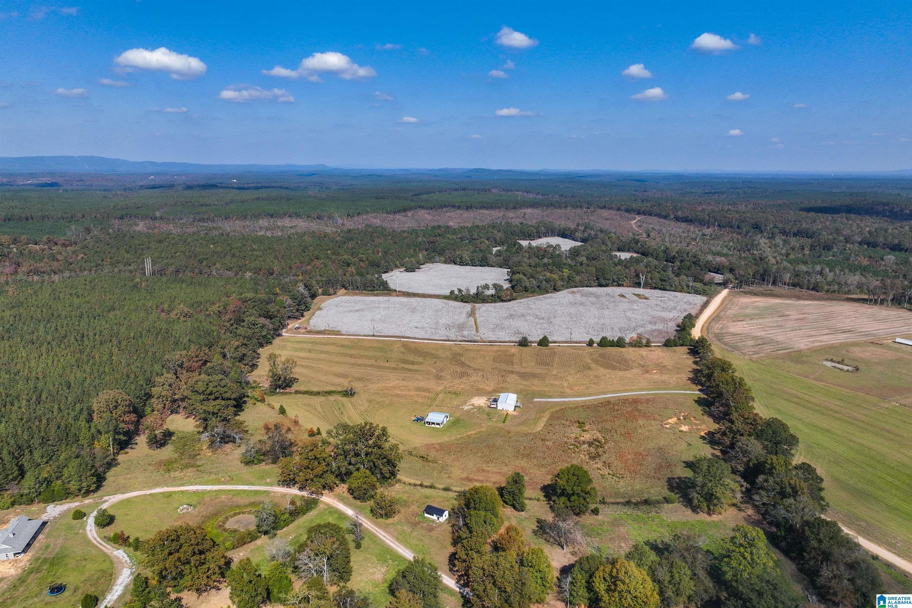 277 Jackson Farm Road Wilsonville, AL 35186 - Photo 62 of 68