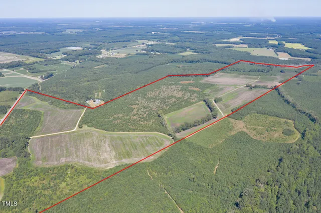 a view of a park with large trees