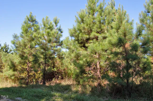 a view of a lush green outdoor space with a lake view