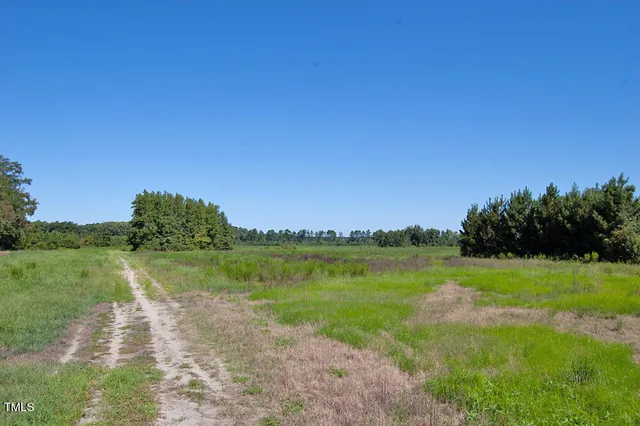 a view of a field with a tree in the background