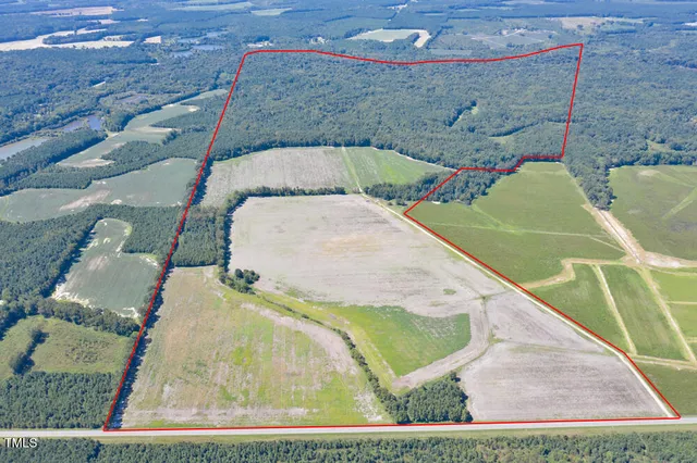 a view of a garden with trees in the background