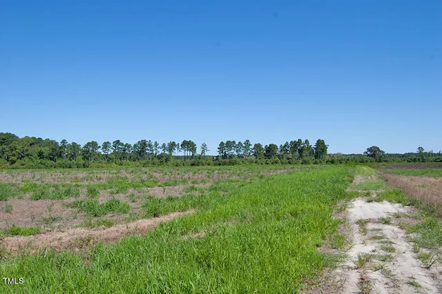 a view of a yard with plants and trees