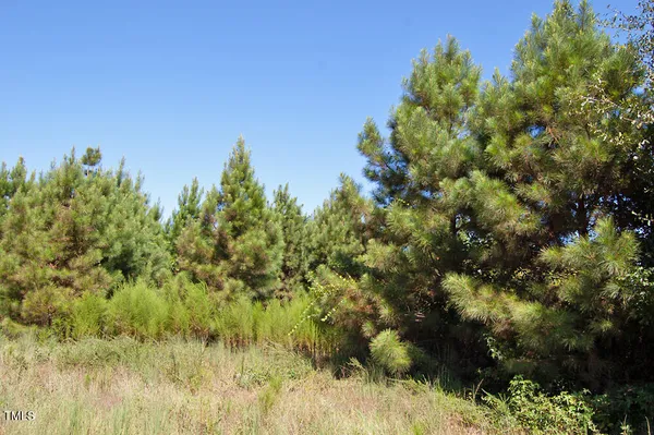 a view of outdoor space with green field and trees all around