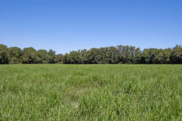 a view of a lake from a yard