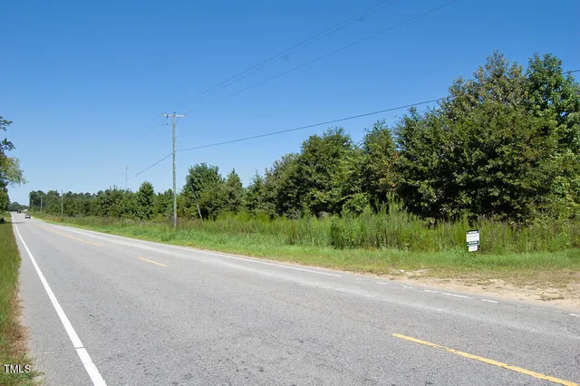 a view of a lush green forest