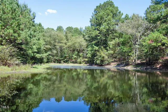 a view of a lake with a mountain in the background