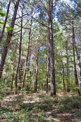 $3,900,000 | 0 Highway 33, Whitakers, NC 27891