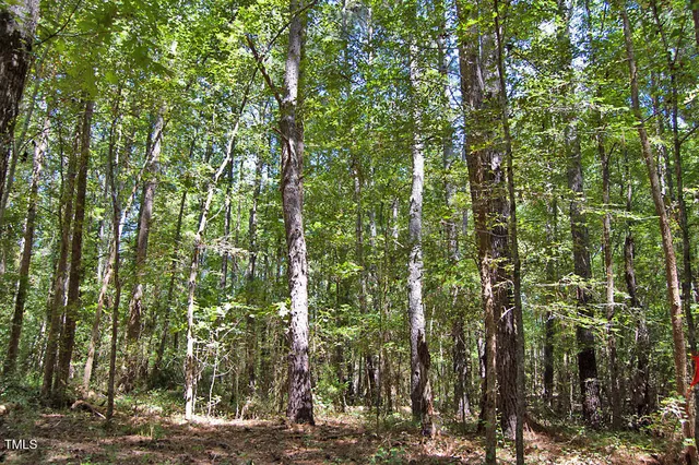 a view of a field with an ocean