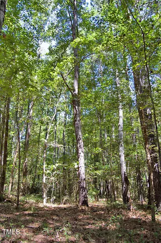 $3,900,000 | 0 Highway 33, Whitakers, NC 27891