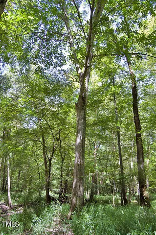 $3,900,000 | 0 Highway 33, Whitakers, NC 27891