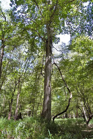 $3,900,000 | 0 Highway 33, Whitakers, NC 27891