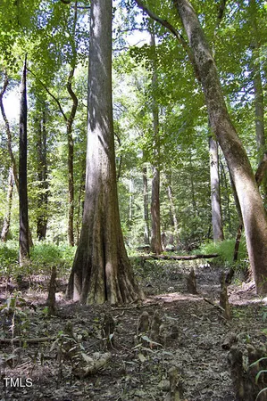 $3,073,950 | 0 Highway 33, Whitakers, NC 27891