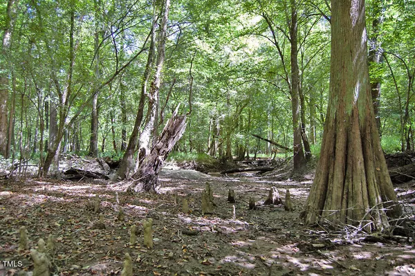 $3,073,950 | 0 Highway 33, Whitakers, NC 27891