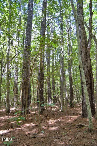 $3,900,000 | 0 Highway 33, Whitakers, NC 27891