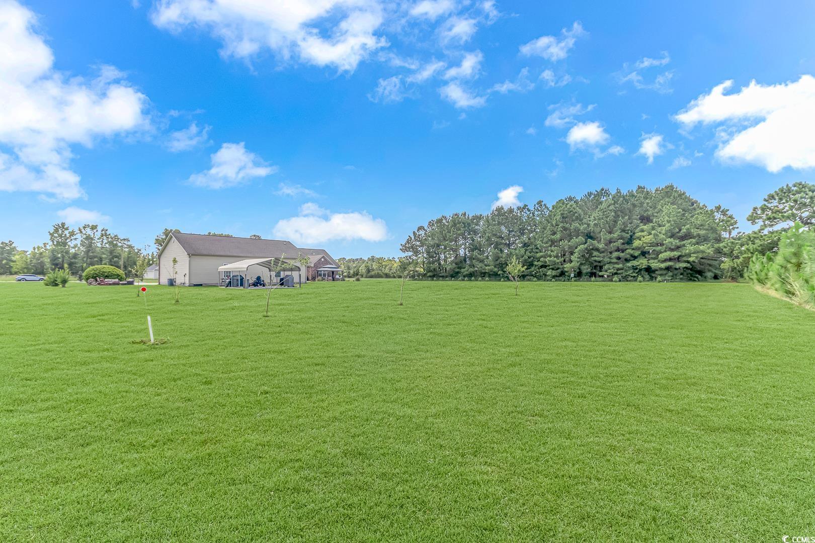 3286 State Rd S-26-777 Loris, SC 29569 - Photo 34 of 40 View of yard