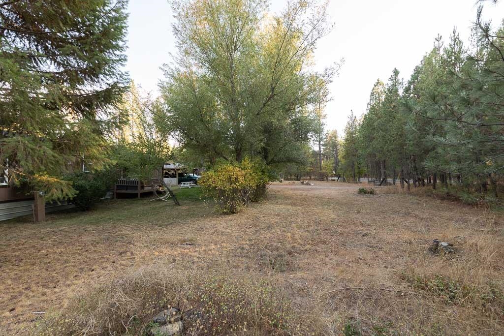 31902 North Milan Road Chattaroy, WA 99003 - Photo 27 of 30