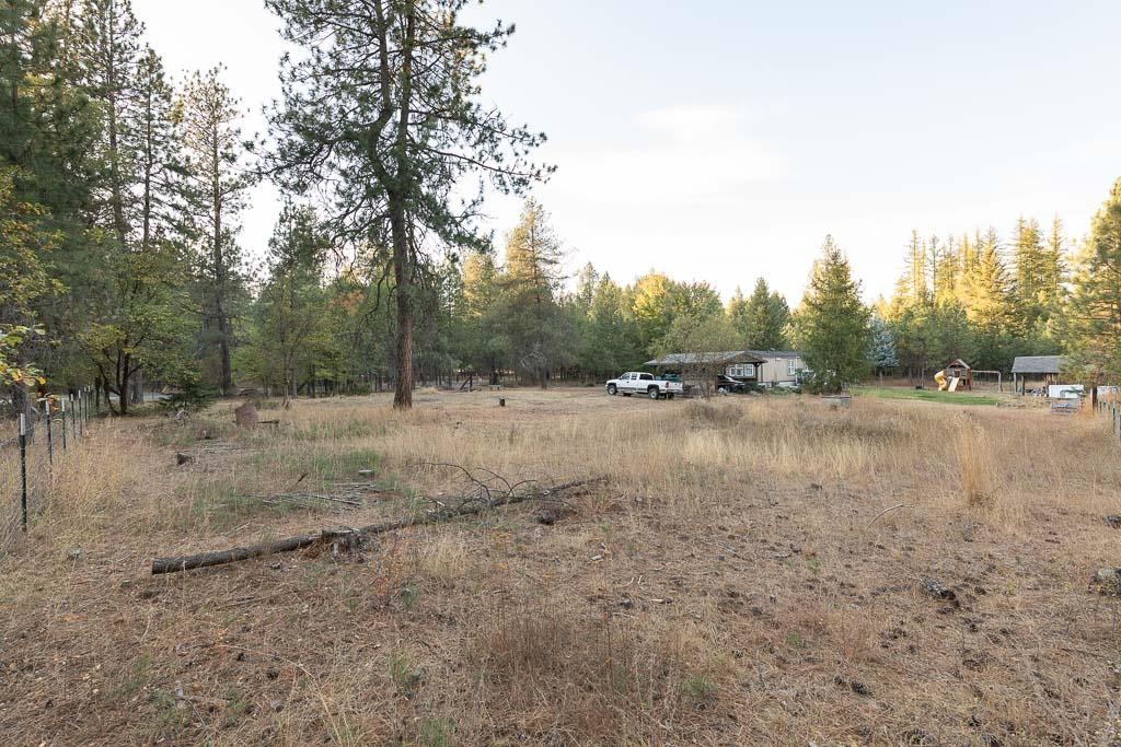 31902 North Milan Road Chattaroy, WA 99003 - Photo 29 of 30